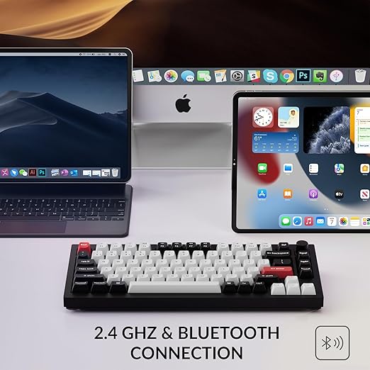Keychron Q1 HE Wireless Custom Keyboard Rapid Trigger QMK Launcher 2.4 GHz Bluetooth 5.2 with Gateron Double-Rail Magnetic Switch RGB Compatible with Mac Windows Linux (Hot-swappable)