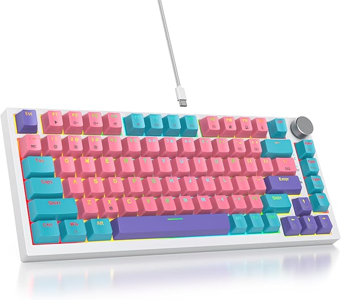 75 Percent Pink Keyboard Gasket-Mounted with Sound Absorbing Pads and Pbt Keycaps 82-Key Compact Wired RGB Mechanical Gaming Keyboard Hot-Swap Socket for Win Miami Theme Pink