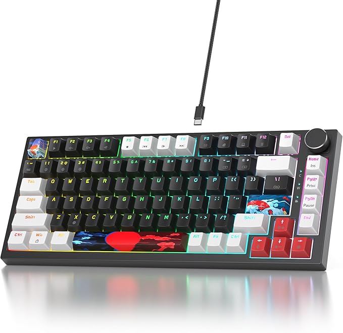 75% Mechanical Gasket Mount TKL Gaming Keyboard - Wired Custom Hot Swappable RGB Backlit for PC &amp Laptop Gamers (Black)