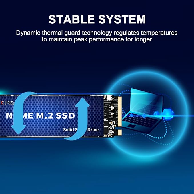 GAMERKING 1TB M.2 NVME SSD 2280 PCIe 3.0 Gen3x4 Internal Solid State Drive up to 3000MB/s 3D NAND Flash M Key Low Power Consumption Disk Upgrade Storage for Desktop Laptop