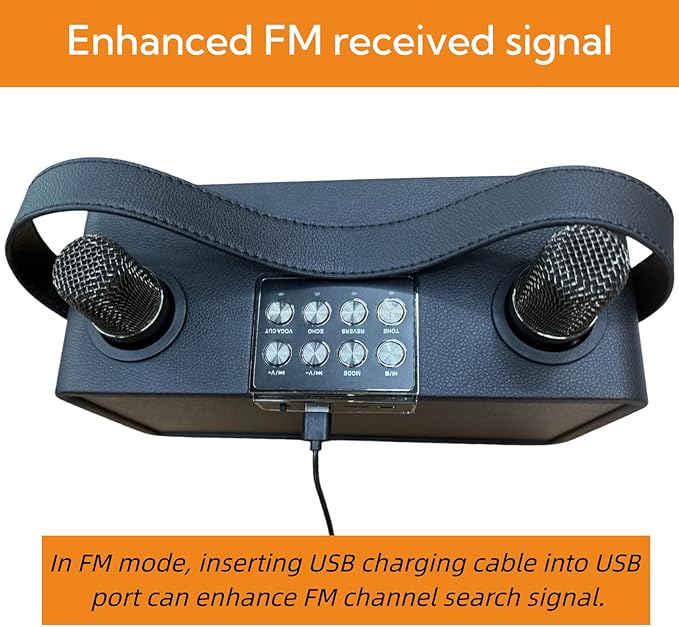 Karaoke Machine for Adults &amp Kids Portable Bluetooth Speaker with 2 Wireless Karaoke Microphones PA System with Echo Adjustment Support Bass/FM/USB/TF for Home Party