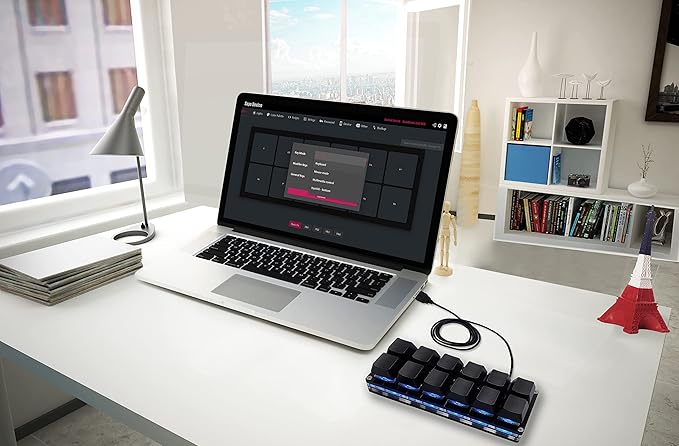 12 Key Mechanical Gaming Keyboard One Handed Keypad USB-C Wired OSU Keypad Programmable and Hot Swappable Keyboard.