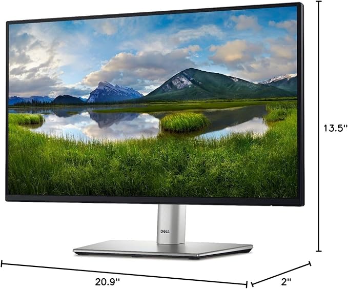 Dell 24 Monitor P2425