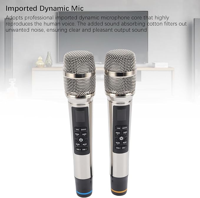 Professional Wireless Microphone Set with Reverb Dynamic Mic for Home Theater Singing