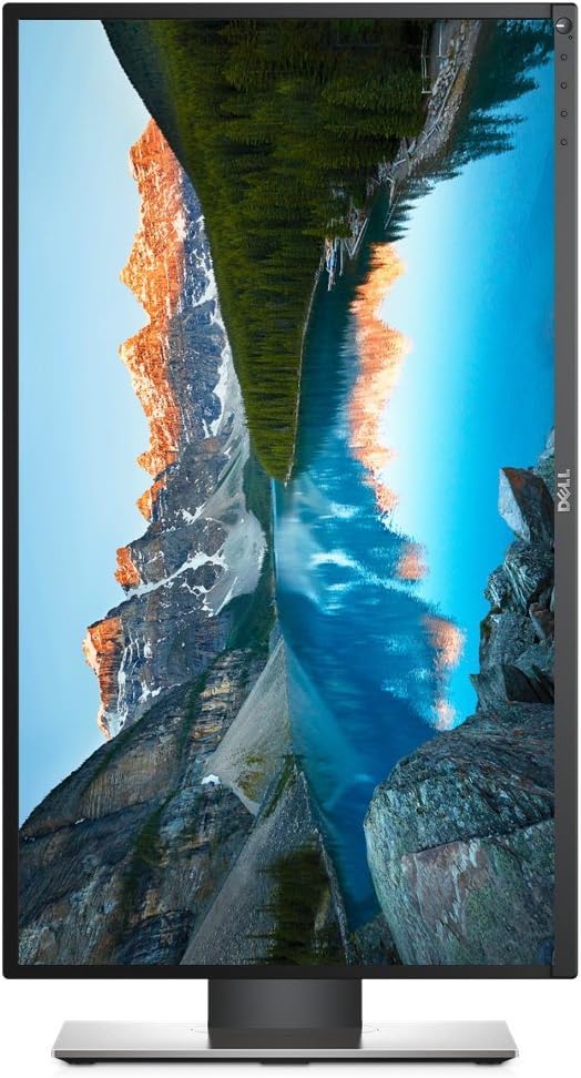 Dell Professional P2317H 23 Screen LED-Lit Monitor (Renewed)