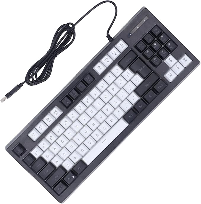Vikye Compact 87 Keys Mechanical Keyboard with RGB Backlight Double Color for Gaming and Office (Black and White)