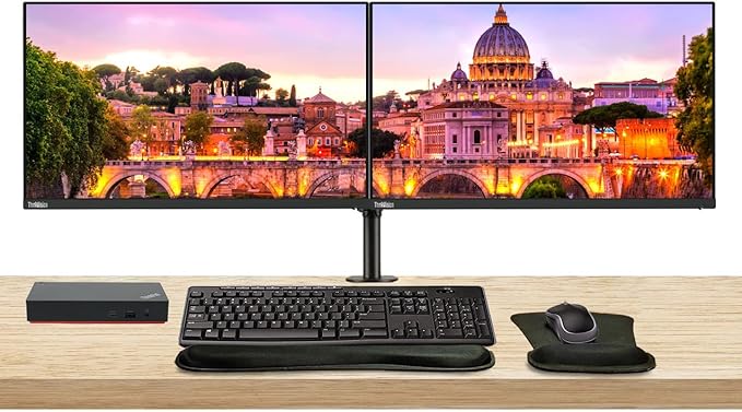 Lenovo ThinkVision T24i 24-inch 1920 x 1080 LED FHD LCD 2-Pack Bundle with HDMI DisplayPort USB Hub Dual Monitor Stand ThinkPad USB-C Dock MK270 Wireless Keyboard and Mouse and Wrist Pad