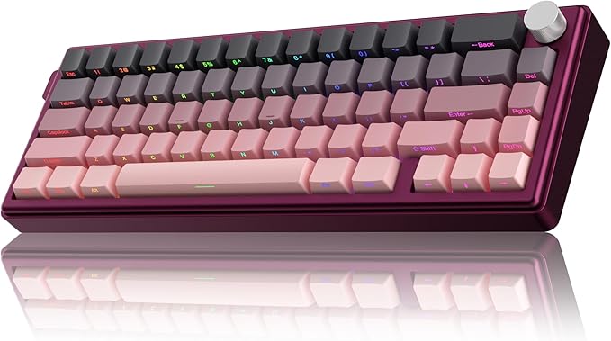 KY65 Wireless Mechanical Keyboard65% Gasket Hot Swappable Custom KeyboardRGB BacklitPre-lubed Gateron SwitchesSide Printed PBT Keycaps2.4GHz/TYPE-C/BT5.0 Mechanical Gaming Keyboards Pink&ampBla