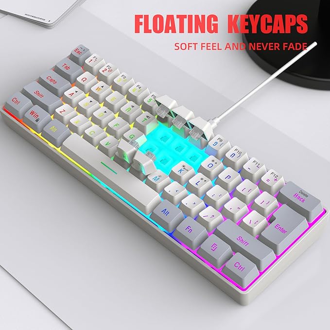 Snpurdiri 60% Wired Gaming Keyboard 61 Keys RGB Backlit Small Gaming Keyboard for PC/Mac Gamer Typist Travel Easy to Carry on Business Trip(Grey-White)