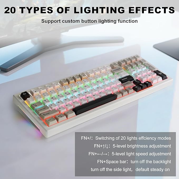 Wireless Game Mechanical Keyboard BT5.0/2.4GHz/USB Multi-Color LED with 18+ Modes Hot-Swappable Custom Keyboard Red Creamy Switches Gaming Keyboard for PC/Mac (Black White)