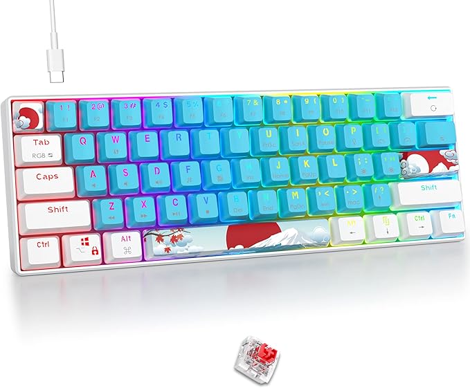 Fogruaden 60 Percent Keyboard Mechanical Gaming Keyboard 60 Percent RGB Backlit Mini Wired 60% Keyboard with Red Switch for Win/Mac PC Laptop (Blue Red Switch)