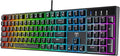 RisoPhy Mechanical Gaming Keyboard Blue Switch USB Wired Keyboard 20 RGB Light up Backlit Modes 104 Key Full Size Clicky Keyboards Anti-Ghosting/Spill-Resistant Rainbow LEDKeyboards for PC(Black)