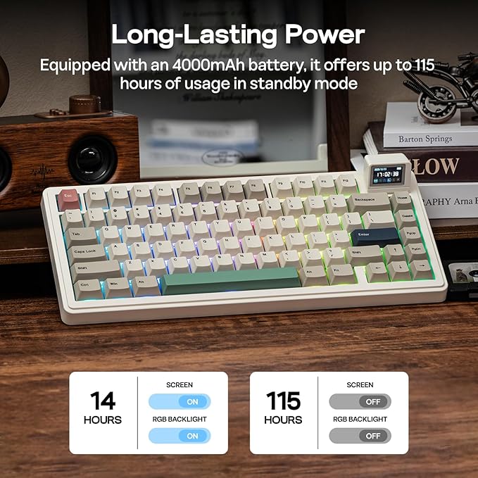 EPOMAKER RT82 Wireless Mechanical Keyboard with Screen VIA Custom 2.4GHz/USB-C/BT5.0 RGB Backlit Gasket 5-Paddings PBT Keycaps Hot-Swap Retro Gaming Keyboard (Sea Salt Silent)
