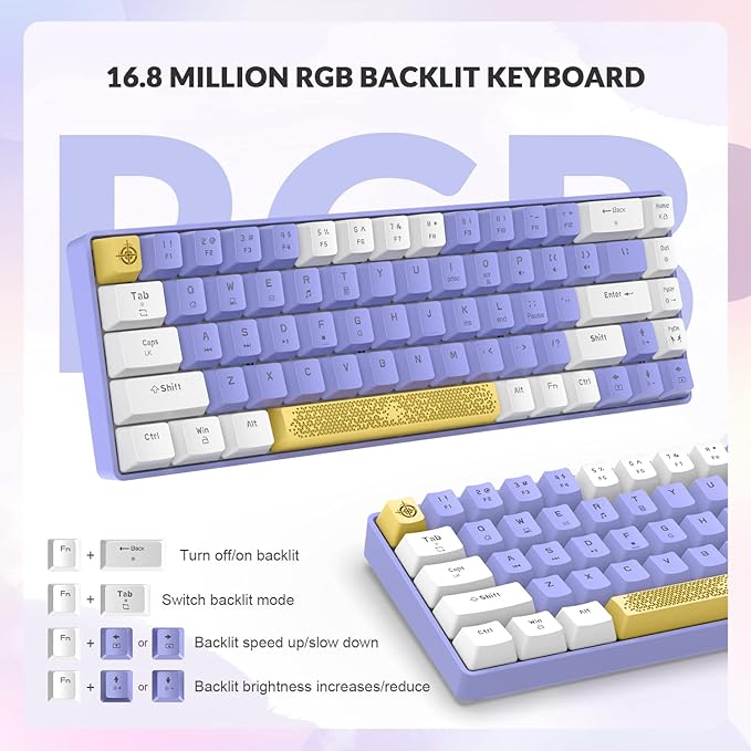 T8 60% Mechanical Gaming Keyboard68 Keys TKL Compact Layout Mini Wired Keyboard18 Chroma RGB BacklitBlue SwitchAnti-ghostingPro Custom Coiled USB-C Cablefor PCMacPS4Xbox-Purple