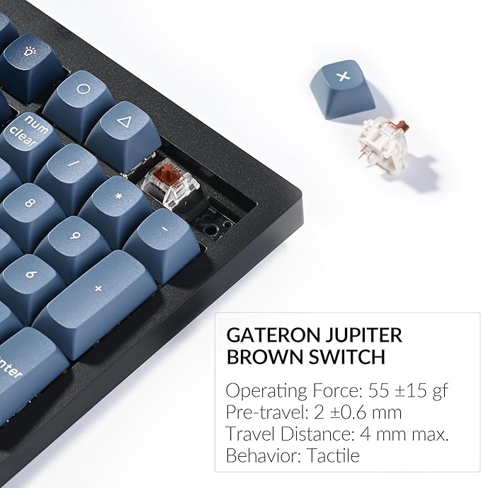 Keychron V6 Max Wireless Custom Mechanical Keyboard 2.4 GHz Bluetooth QMK Full-Size Layout RGB with Hot-swappable Gateron Brown Switch Compatible with Mac Windows Linux