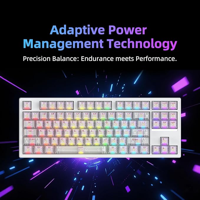 FE87 V2 Wired Mechanical Keyboard Dual 8KHZ Polling Rate Support SODC/Latency As 0.125MS/ARGBHot Swappable Gasket Sturcture Gaming Keyboard (White/Hyacinth Switch)
