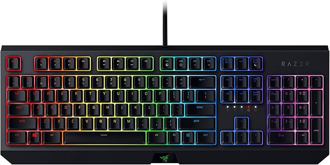 Razer BlackWidow Mechanical Gaming Keyboard: Green Mechanical Switches Tactile &amp Clicky Chroma RGB Lighting Anti-Ghosting Programmable Macro Functionality