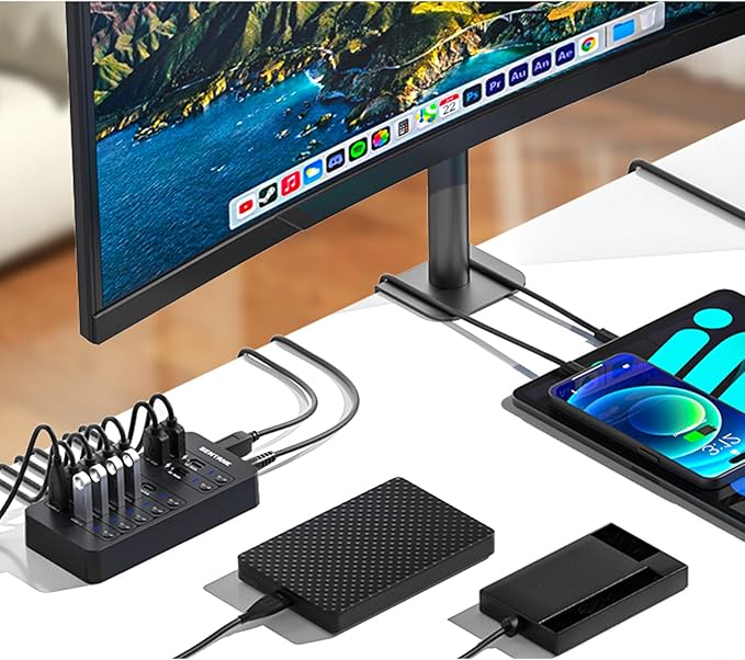 Powered USB Hub SENTANK 14 Port USB 3.0 Hub Splitter (6 USB 3.0 Data Ports + 4 Fast Charging Ports) with Independent LED On/Off Switch with 60W Power Adapter for Mac PC