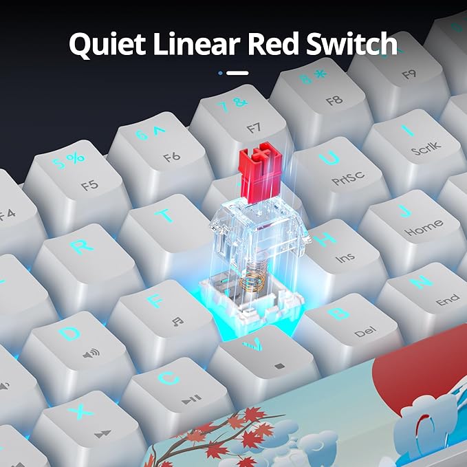 surmen 60% Wired Mechanical Gaming Keyboard Backlit Ultra-Compact Mini Office Keyboard with Red Switch for PC/Mac Gamer Typist (61 Blue White)