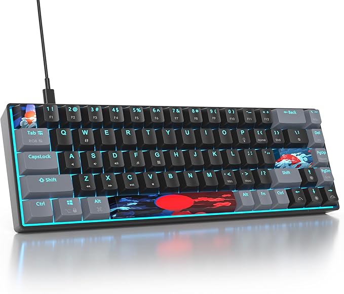Owpkeenthy Portable 65% Percent Mechanical Gaming Keyboard Mini Wired Ultra Compact RGB 68 Keys Office Keyboard with Red Switch Backlit for PC/PS5/XBOX(Dark/ 68 Red Switch)