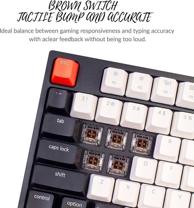 Keychron C1 Wired Mechanical Keyboard TKL RGB Backlit with Double-Shot ABS Keycaps 87 Keys Hot-Swappable Pre-lubed Tactile Switch Compatible with Mac Windows