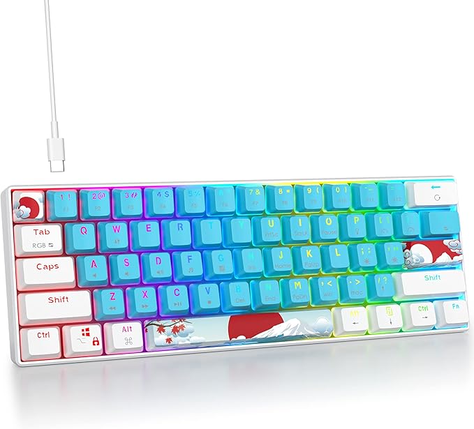 Fogruaden 60% Mechanical Keyboard 61 Keys Gaming Keyboard RGB Backlit Compact 60 Percent Wired Keyboard for Win/Mac PC Gamer Easy to Carry on Trip (BlueBlue Switch)