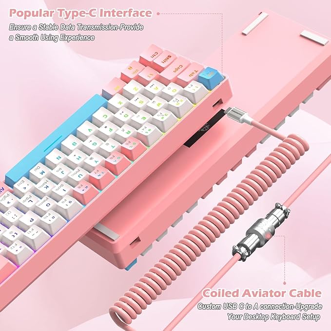 ZIYOU LANG RK-T60 Wired Mechanical Gaming Keyboard Mini Portable with Rainbow Backlit 62Key ABS Keycaps Full Anti-Ghosting Ergonomic Design Coiled Aviator Cable for PS4/PC/WIN Gamer(Pink/Blue Switch)