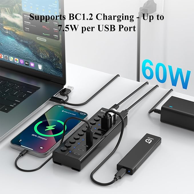 Powered USB Hub 10-Port USB C Hub with 6 USB-A 3.2 4 USB-C 3.2 Ports Individual Switches and 12V/5A Power Adapter Aluminum USB Extension for MacBook Laptop/PC and More(Black)