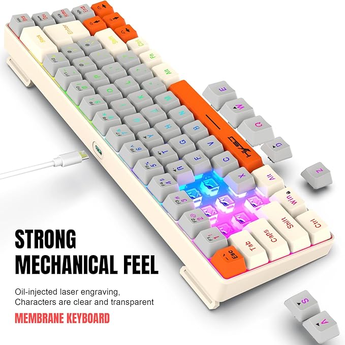 Docooler Wired Keyboard 68-Key RGB Gaming Keyboard 68 Keys Hot-Swap Compact Mechanical Keyboard Detachable Ty[e-C Keyboard for Gaming &amp Office Wired Computer Keyboard Ergonomic - Gray-White Ora