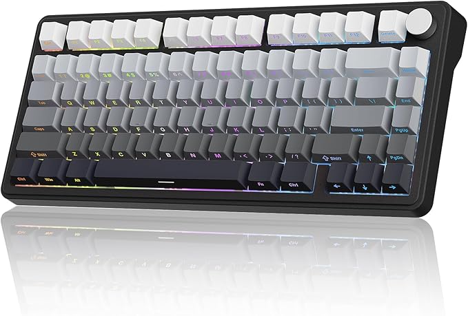 CC MALL M75 Mechanical Keyboard75% Gasket Hot SwappableRGB BacklitSide Printed PBT Keycaps2.4Ghz/Bluetooth/USB-C Gaming Keyboards (White and Black)