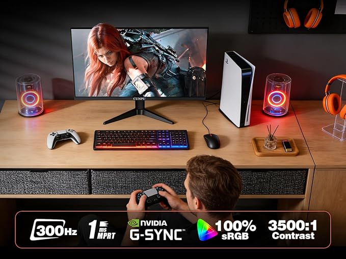 24.5 Inch 1080P 300Hz Premium Gaming Monitor for FPS Gamers AMD FreeSync &amp NVIDIA G-SYNC Compatible 1ms MPRT VA Panel HDR400 100% sRGB VESA 100x100mm