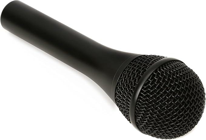 AUDIX OM5 Hypercardioid Handheld Dynamic Vocal Microphone for Stage Singers - Black