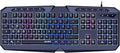 Speedlink LUDICIUM RGB Rainbow Gaming Keyboard Computer Keyboard Wired RGB Gaming Keyboard German QWERTY Layout Windows Key Lock WASD Switch 10 Multimedia Keys Black
