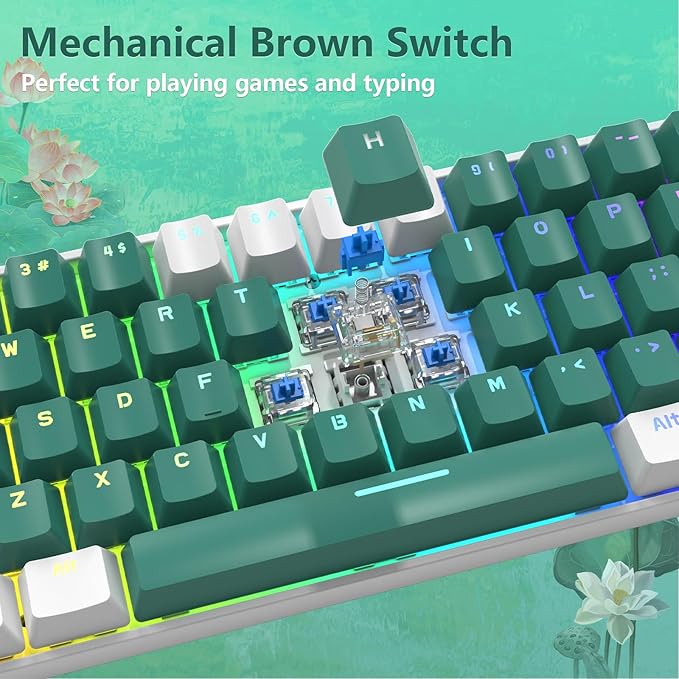 RK-T60 Wired 60% TKL Mechanical Gaming Keyboard Led Rainbow Backlight Ultra-Compact NKRO Linear Red Switch ABS Keycap RGB Honeycomb Mice Coiled Aviator Cable for Windows Laptop PS4/PC/WIN Gamer