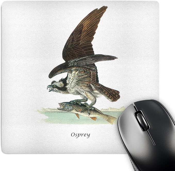 3Drose LLC 8 X 8 X 0.25 Inches Mouse Pad Osprey by John James Audubon (Mp_114072_1)