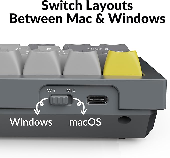 Keychron Q4 Wired Custom Mechanical Keyboard 60% Layout QMK/VIA Programmable Macro with Hot-swappable Gateron G Pro Brown Switch Double Gasket Compatible with Mac Windows Linux (Gray)