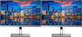 HP EliteDisplay E243i 24 Inch Screen LED Backlit 2-Pack Monitor (1FH47A8#ABA) Black and Silver