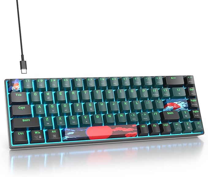 Protable 60% Percent Gaming Keyboard Mechanical Mini Compact Ice-Blue LED Backlit 68 Keys Wired Office Keyboard with Red Switch for Mac/Win/PS4/PS5(68Green/red Switch)