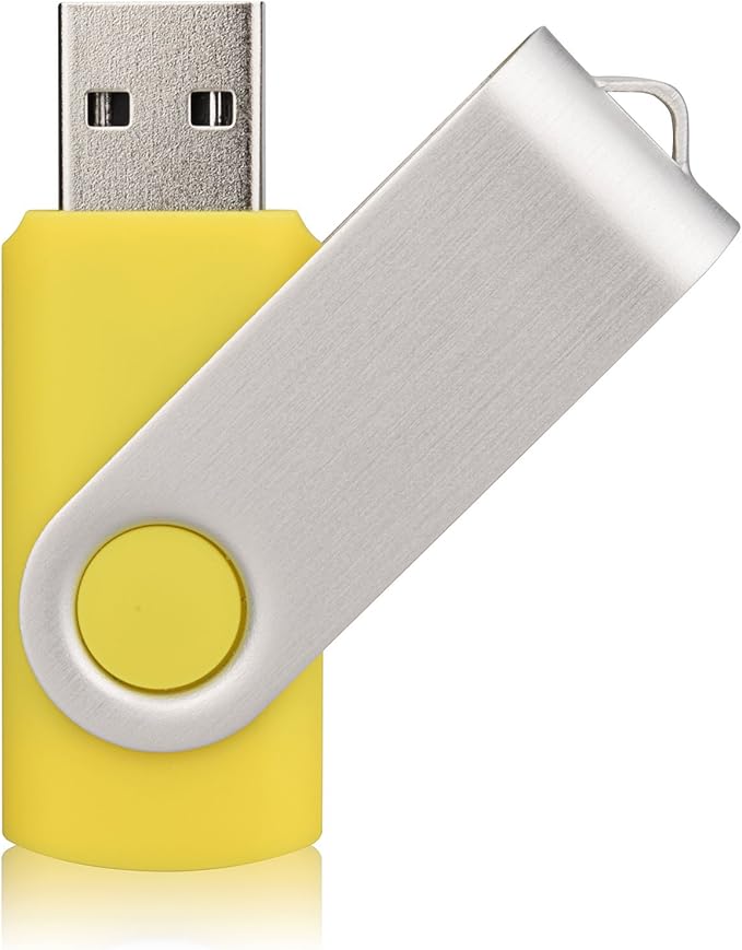 Aiibe 10 Pack 32GB Flash Drive USB Flash Drive USB 3.0 Thumb Drives USB Memory Stick 32 GB 3.0 Flash Drives Bulk (10 Mixed Colors: Black Blue Red Green Orange White Yellow Pink Purple Silver)