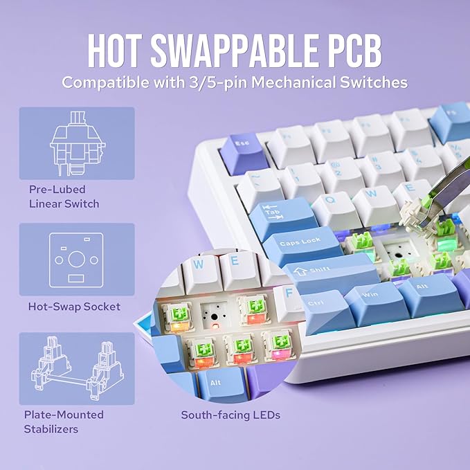 EPOMAKER X Aula F75 MAX Wireless Mechanical Keyboard with TFT Screen and Knob Gasket Gaming Keyboard in 75% Layout Hot Swappable RGB Backlight for PC/Mac/Linux (Blue&ampWhite&ampPurple)