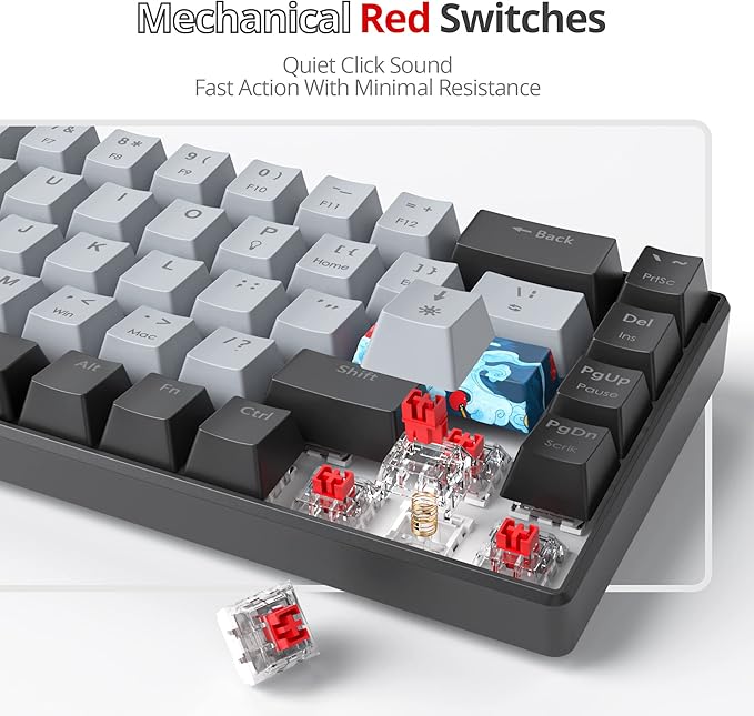 Protable 60% Percent Gaming Keyboard Mechanical Mini Compact RGB Backlit 68 Keys Wired Office Keyboard with Red Switch for Mac/Win (Dolch/red Switch 68)