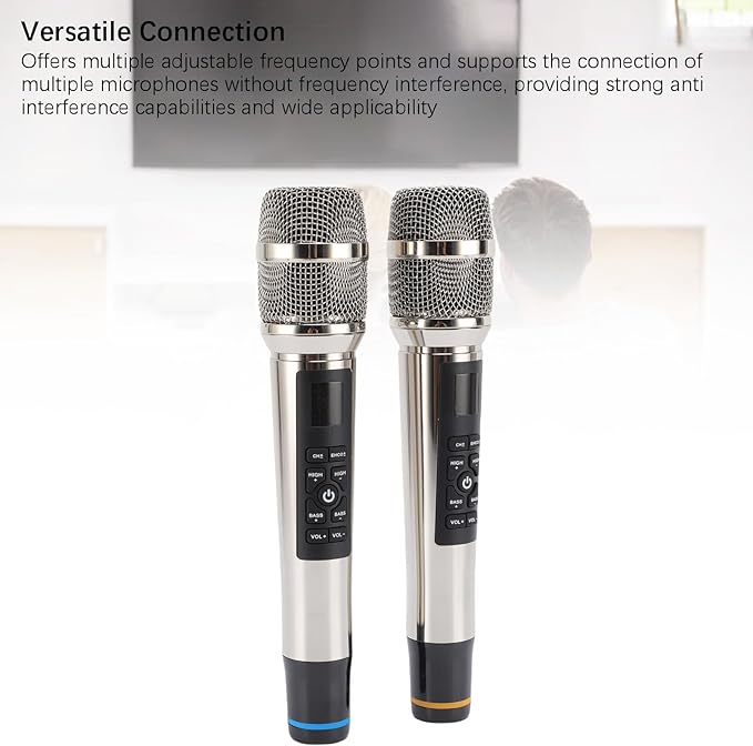 Professional Wireless Microphone Set with Reverb Dynamic Mic for Home Theater Singing