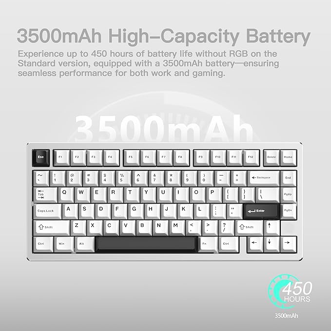 KEEBMONKEY WOBKEY Rainy 75 CNC Aluminum HMX/JWK/Cocoa Switches Triple-Mode Connectivity Mechanical Keyboard with Superior Acoustics No RGB/PP/Mirrored Glass/3500mAh/Violet Switch (Lite - Silver)