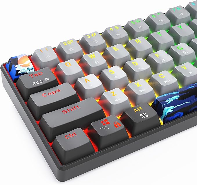 Protable 60% Percent Gaming Keyboard Mechanical Mini Compact RGB Backlit 61 Keys Wired Office Keyboard with Red Switch for Mac/Win (Dolch/red Switch)