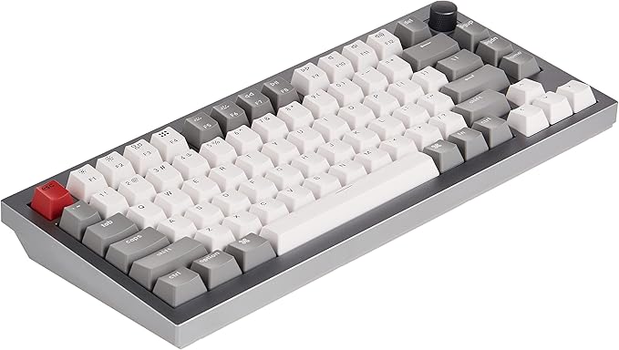 Keychron Q1 RGB Wired Custom Mechanical Keyboard 75% Layout QMK/VIA Programmable Macro with Hot-swappable Gateron G Pro Blue Switch Double Gasket Compatible with Mac Windows Linux (Grey) -Version 2