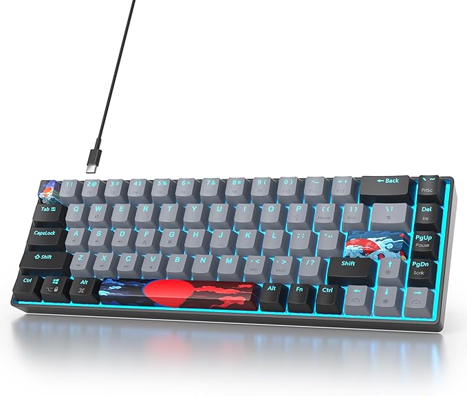 65 Percent Gaming Keyboard 68 Keys Mechanical Keyboard LED Backlit Ultra Compact Wired Key Board with Red Switch for Windows Laptop Gamer