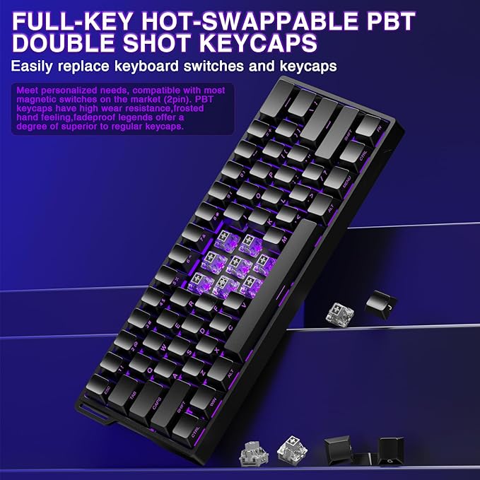 Aula WIN60 HE - 60% Mechanical Gaming Keyboard Wired Magnetic Switch Hot Swappable Adjustable Actuation Rapid Trigger Mode 8000 Hz Polling Rate RGB Small Keyboard 60 Percent Compact Design for PC