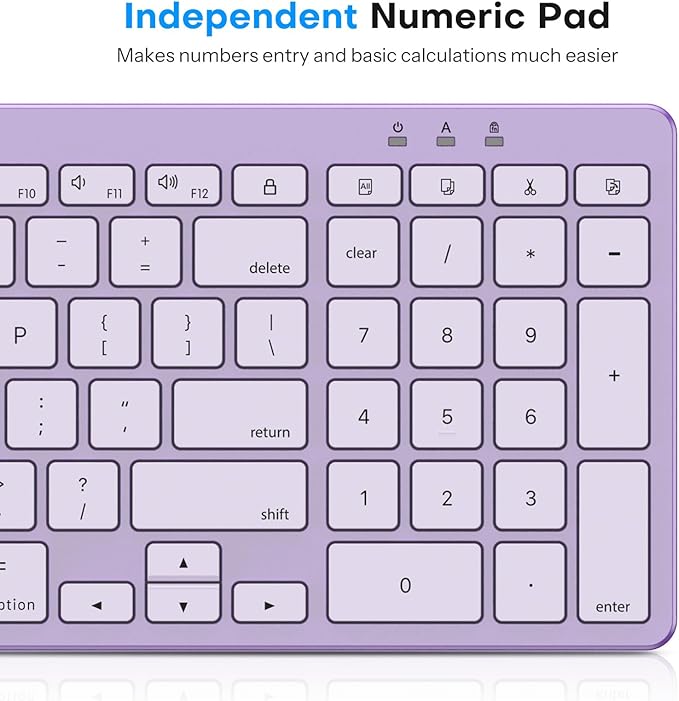 OMOTON Wired Keyboard Compatible with Mac with Dual Interface (USB and Type-C) Numeric Keypad Compatible with MacBook Pro/Air iMac Mac mini/Pro Laptop Purple