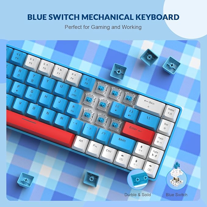 T8 60% Gaming Keyboard68 Keys Compact Mini Wired Mechanical Keyboard with 18 Chroma RGB BacklitBlue SwitchUSB C Coiled Keyboard Cablefor PCLaptopMacPS4Xbox-Blue