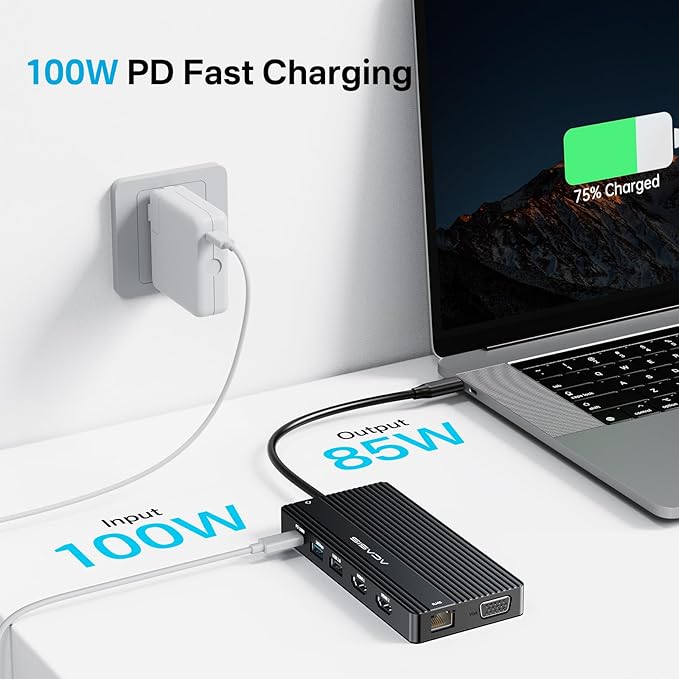 USB C Docking Station Dual HDMI Monitor Laptop Docking Station 3 Monitors 2 * 4K HDMI+1080p VGA+100W PD+Ethernet+3 USBC 10Gbps+SD/TF+Audio Adapter USB C Hub for Dell/Lenovo/HP/ThinkPad(Black)